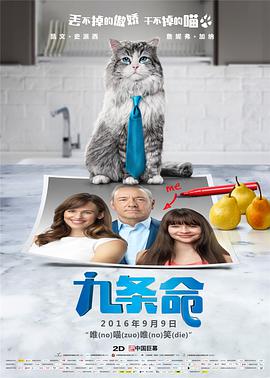msi中国